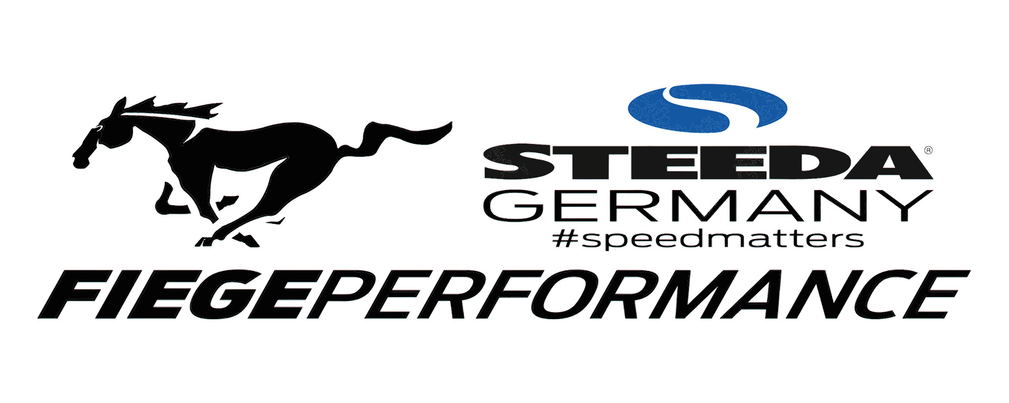 FIEGEPERFORMANCE-Logo