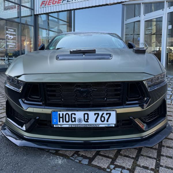 Kennzeichenunterlage S650 Mustang Dark Horse kurz