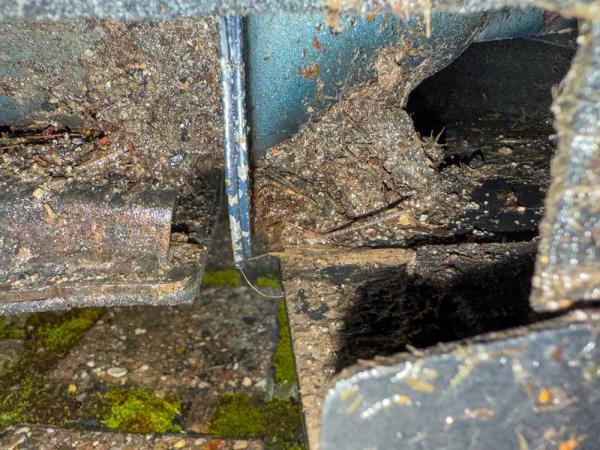 Mustang S650 Spritzwasserschutz Radhausschale - Must Have